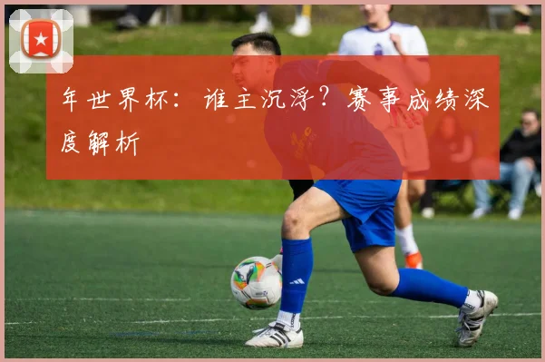 年世界杯：谁主沉浮？赛事成绩深度解析