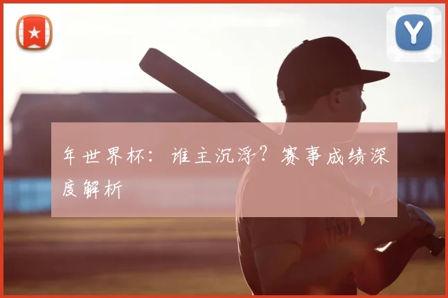 年世界杯：谁主沉浮？赛事成绩深度解析