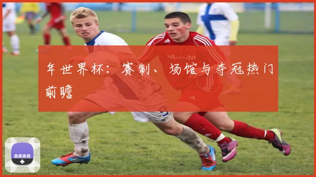 年世界杯：赛制、场馆与夺冠热门前瞻