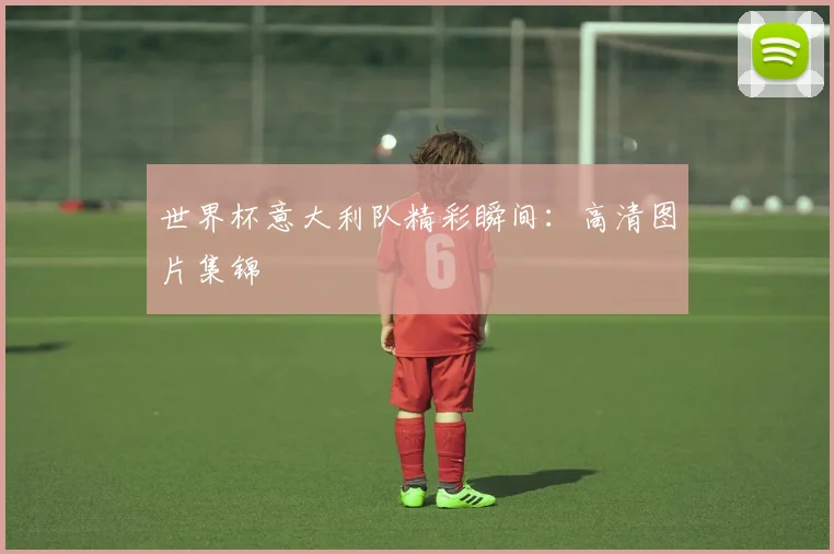世界杯意大利队精彩瞬间:高清图片集锦