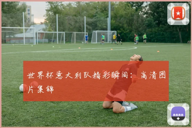 世界杯意大利队精彩瞬间:高清图片集锦