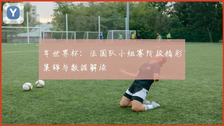 年世界杯：法国队小组赛阶段精彩集锦与数据解读