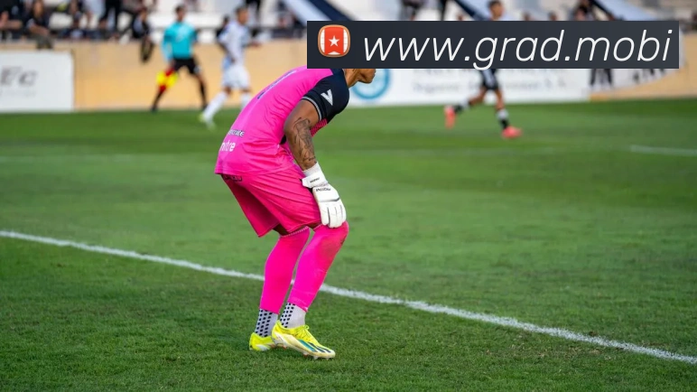 必一体育sport官网平台生态图